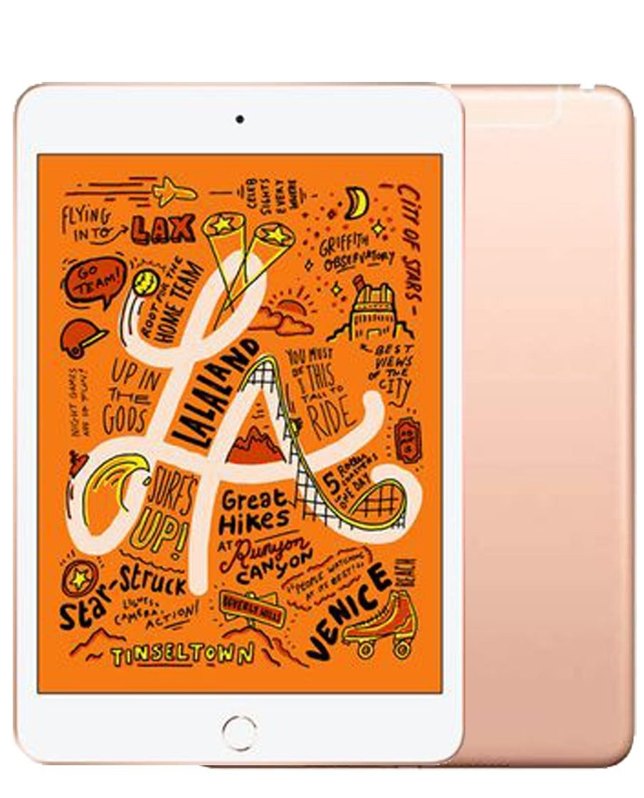 iPad Mini 5 (4G, Unlocked)